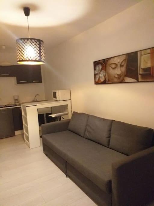 Studio Meuble Wifi A Proximite Du Tram Castelnau-le-Lez Dış mekan fotoğraf
