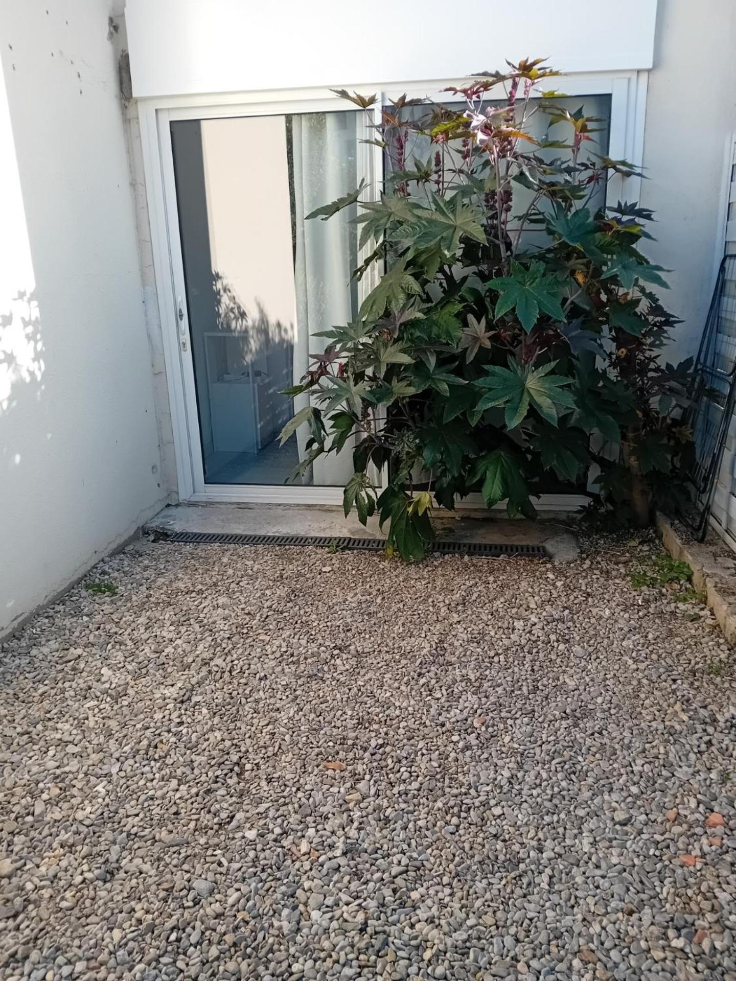 Studio Meuble Wifi A Proximite Du Tram Castelnau-le-Lez Dış mekan fotoğraf